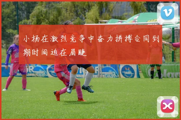 小杨在激烈竞争中奋力拼搏合同到期时间迫在眉睫